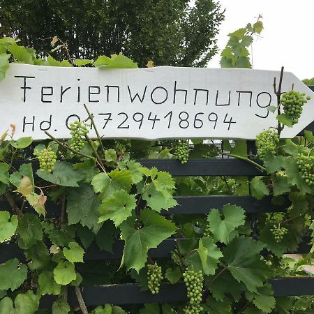 Ferienwohnung Anke Huhn 诺德豪森 外观 照片